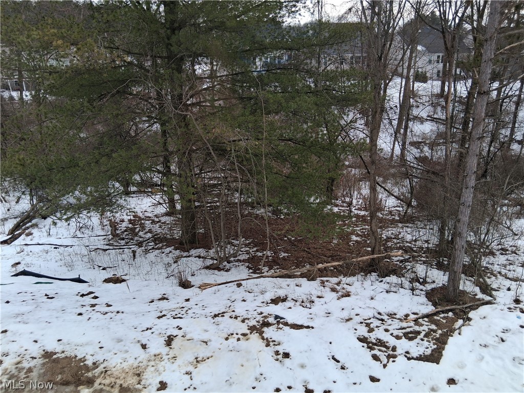 Lakeview Pines - Residential