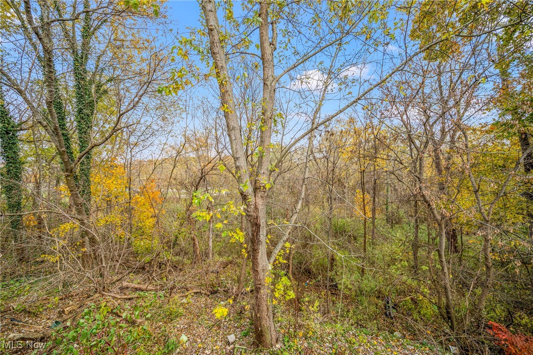 Conneaut, Ohio 44030, United States, 2 Bedrooms Bedrooms, ,2 BathroomsBathrooms,Residential,Active,238421