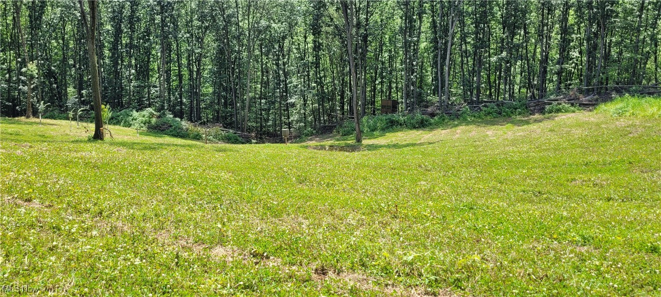 16 acres for sale in Tuscarawas County, Ohio. Conveniently located only minutes from Port Washington and US 36, and 50 minutes from Berlin. This property has excellent deer sign, a creek, trails, multiple access points, pinch points, established switch grass area for bedding and cover, and a large food plot area as well as some scattered timber throughout the property. The seller has put a lot of time into creating a whitetail oasis on this property. There is a large food plot on the property planted with a late season mix, water hole, a small orchard, established feeder site, mock scrape/rub tree, and an easy to access blind that overlooks it all. Included in the sale is a detailed plan by Whitetail Habitat Designs leaving room for you as the buyer to go on with the plan, creating value and growing your investment down the road. If you're in the market for an affordable hunting tract in an excellent big buck area this is the one. Some minerals transfer.