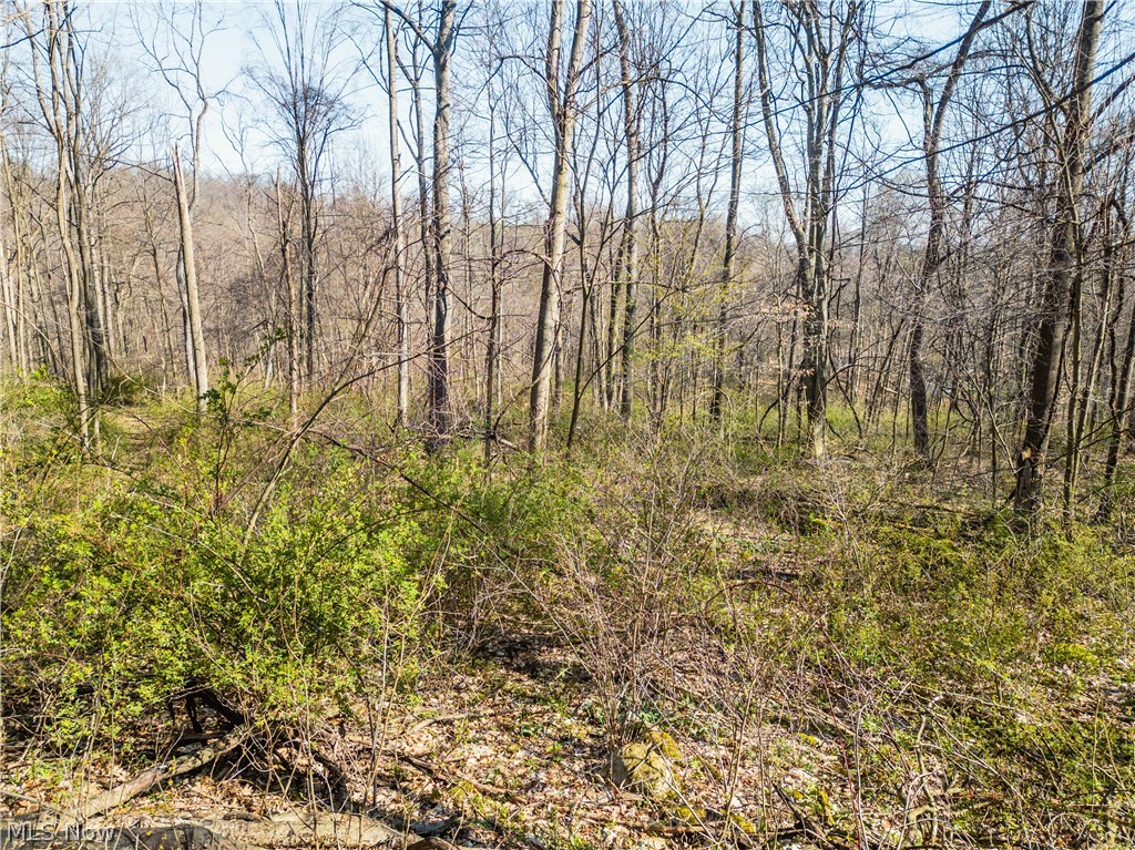 Fourth Quarter Prairie - Land