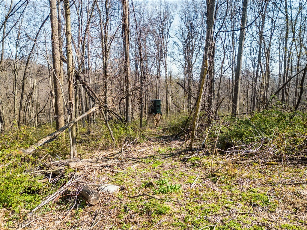 Fourth Quarter Prairie - Land