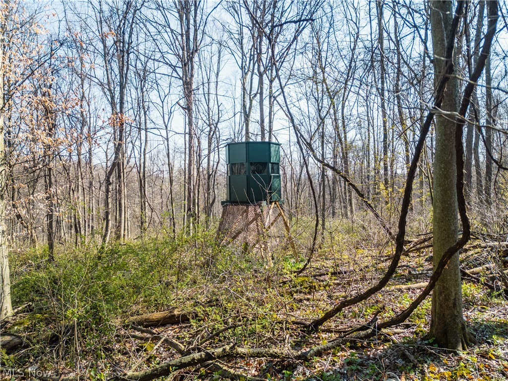 Fourth Quarter Prairie - Land