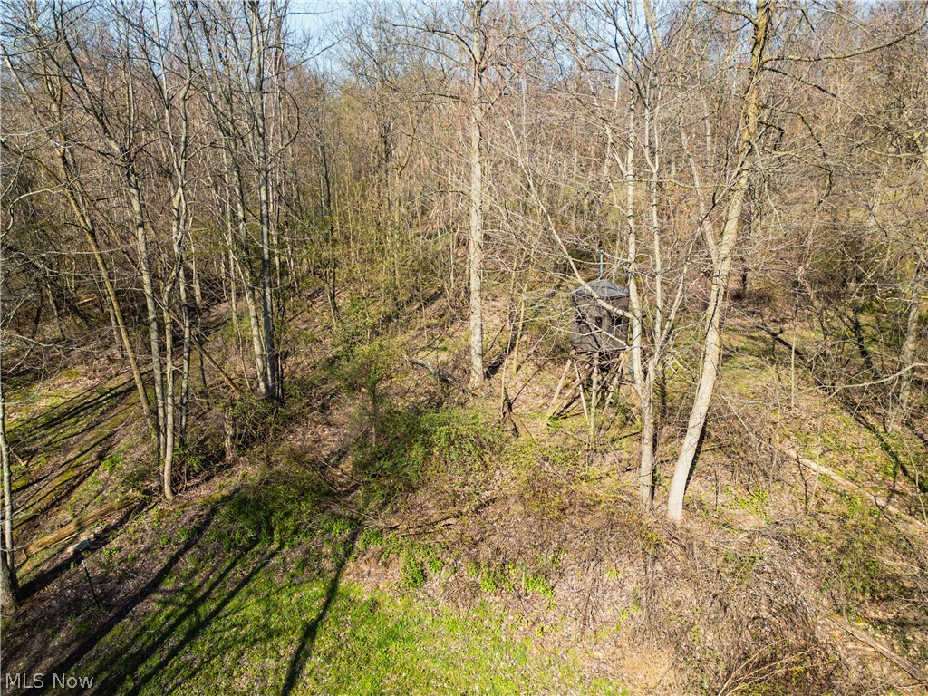 Fourth Quarter Prairie - Land