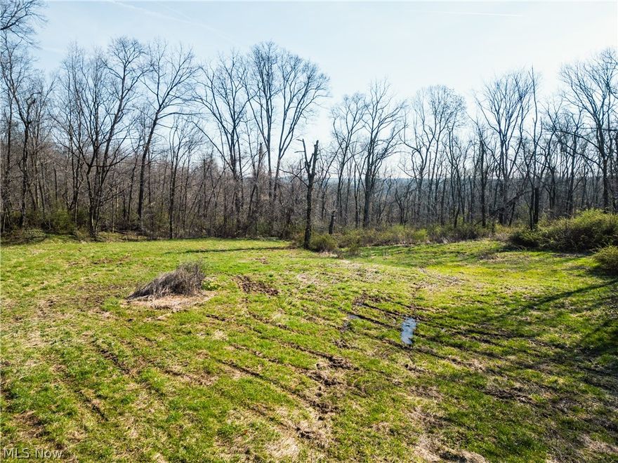AUCTION WED. MAY 13th 6:00PM    47.2 wooded acres in a superb location with excellent home and cabin sites as well as tremendous wildlife habitat for hunting etc! Located between Millersburg and Holmesville in the heart of Holmes County! It has approximately 1147’ total frontage on Twp. Rd. 323.
