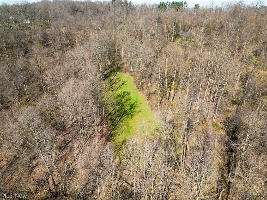 Fourth Quarter Prairie - Land