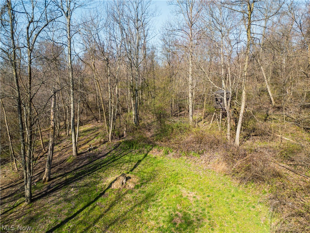 Fourth Quarter Prairie - Land