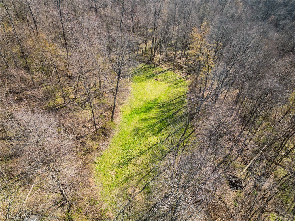 Fourth Quarter Prairie - Land