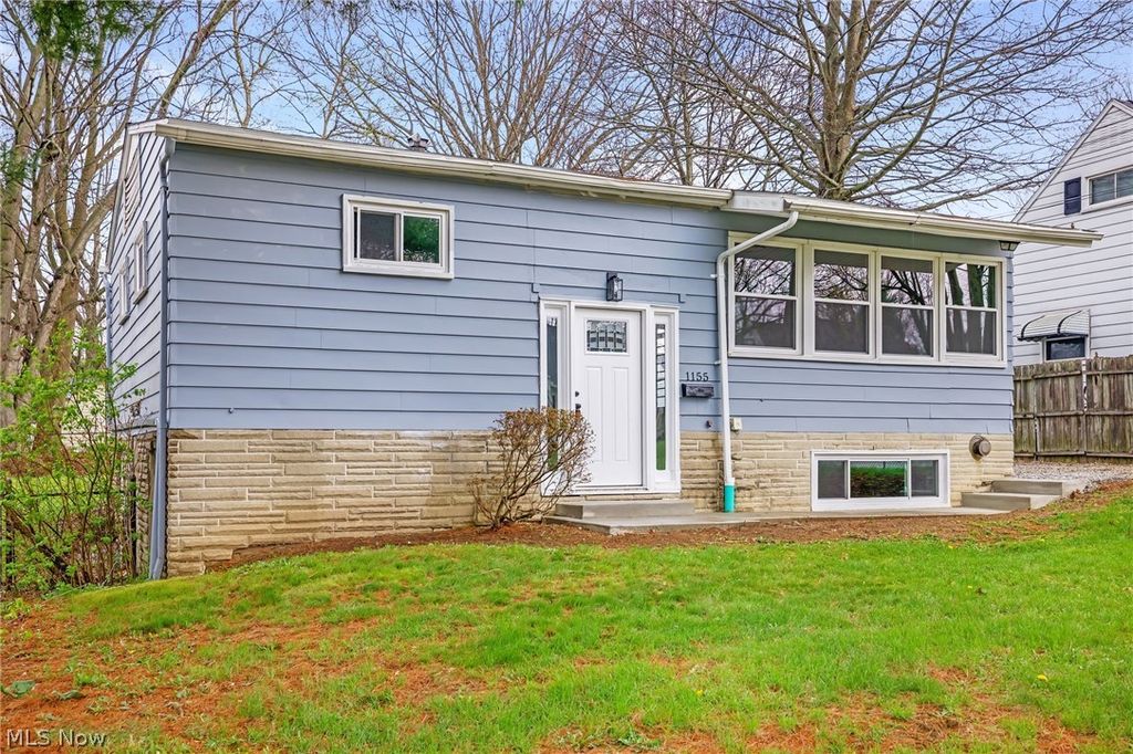 Photo of 1155 Stanwood Avenue, Akron, OH 44314 (MLS # 5199915)