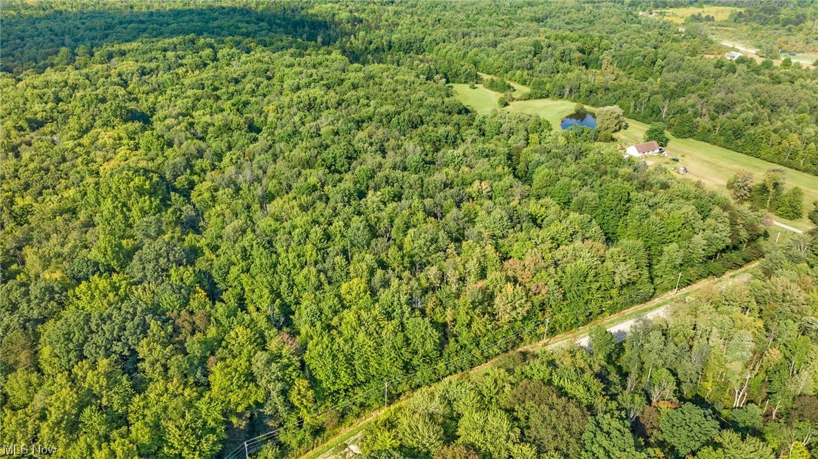 NEARLY 25 BEAUTIFUL ACRES await you in rural Ashtabula County on Footville-Richmond Road. A branch of the Trumbull Creek winds through this fully wooded/treed site making it perfect for recreation, building your new home, or a combination of both! Many possibilities and much potential are awaiting your vision. Call today for more information!