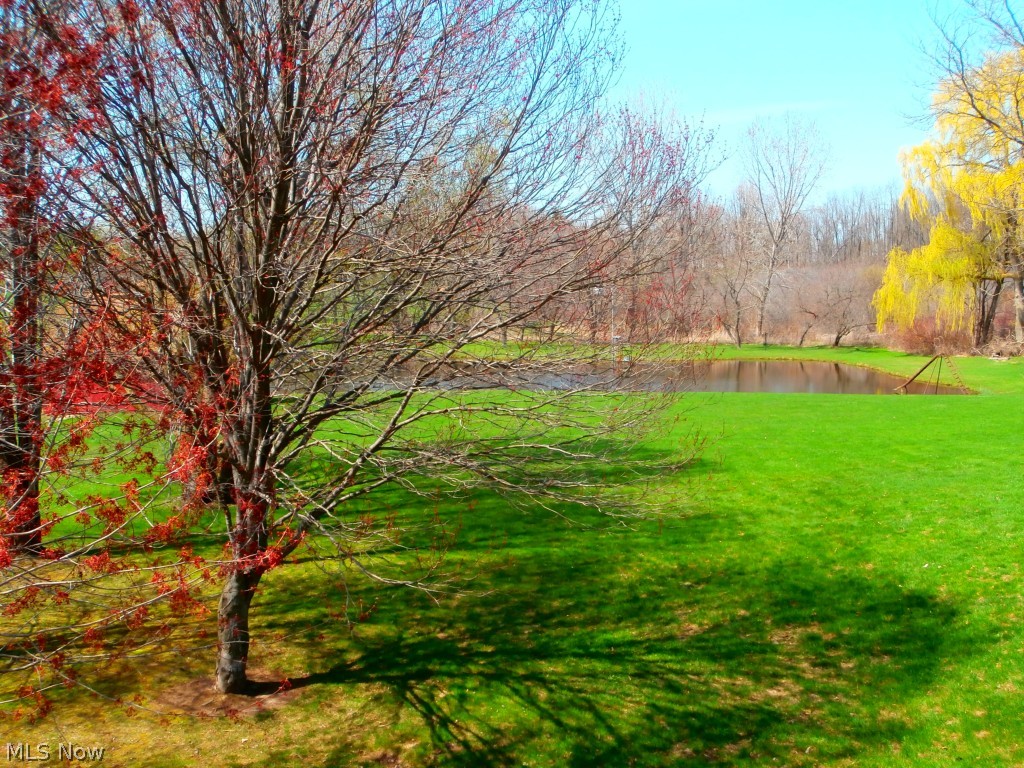 Suzannes Plantation Acres - Residential