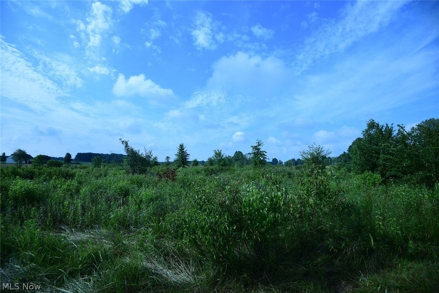 This is a great lot to consider building your next home on. It is a large 9 acre lot that is located in the country. It is close to the schools and close to highway access. It is within a 10 minute drive to West Branch State Park and within 15 minutes of Berlin Lake. When you build your home on this property it will require septic and well. The county performed a perc test for the current owners and it passed in 2002. The current owner has no mineral rights to the property and they will not convey. Feel free to drive by this property and check it out.