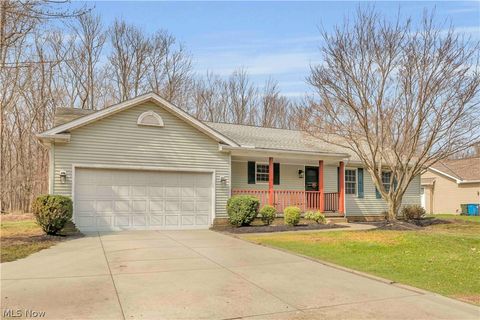 586 Abbe Road Sheffield Lake OH 44054