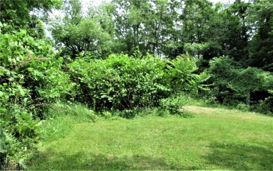 Long Lake Estate #2 - Land