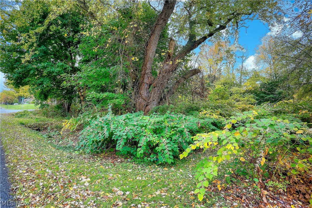 Long Lake Estate #2 - Land