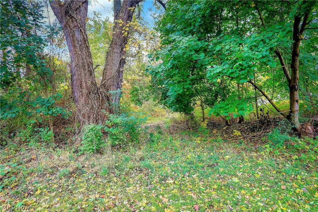 Long Lake Estate #2 - Land