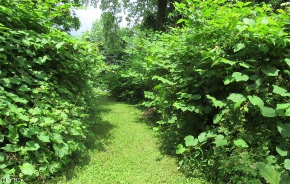 Long Lake Estate #2 - Land