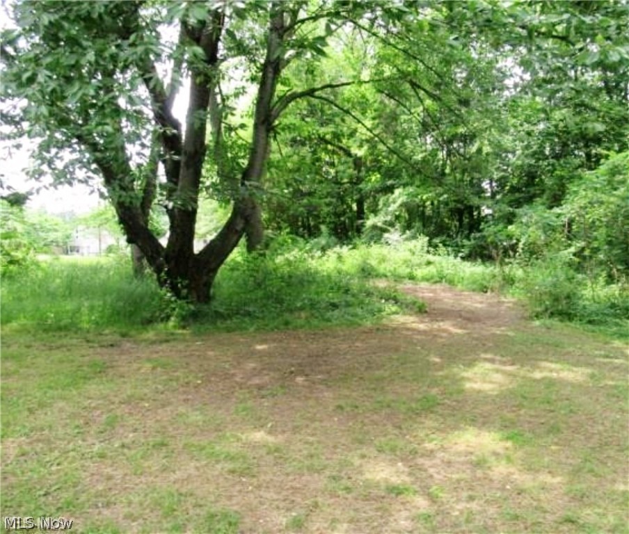 Long Lake Estate #2 - Land