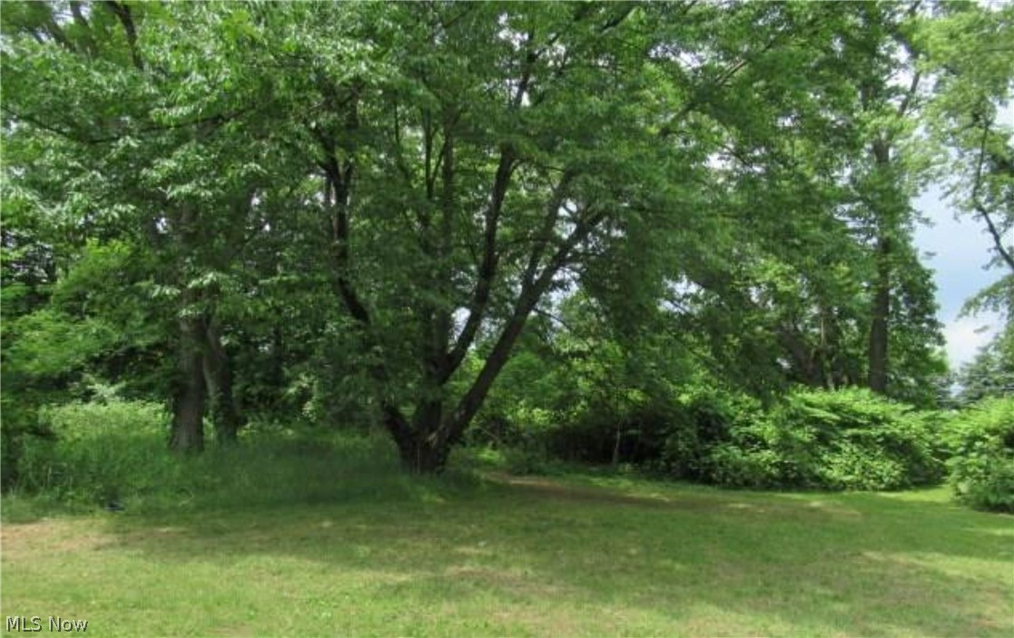 Long Lake Estate #2 - Land