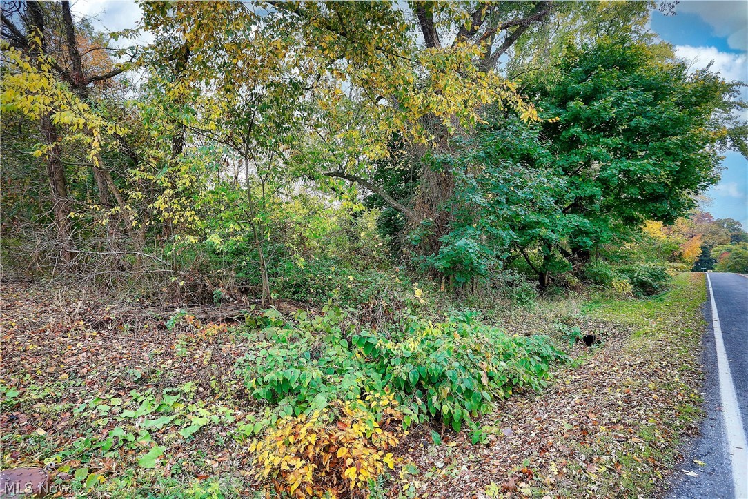 Long Lake Estate #2 - Land