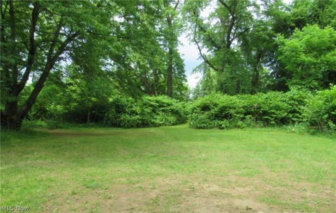 Long Lake Estate #2 - Land