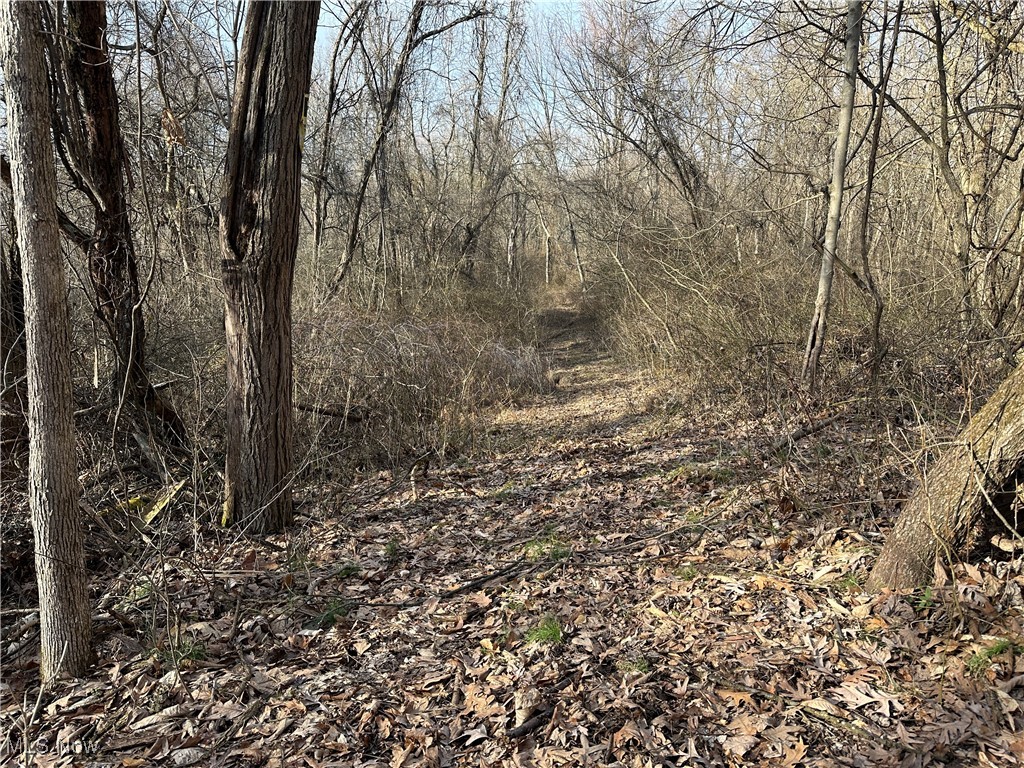 2746 Vickers Road, Marietta, Ohio image 15
