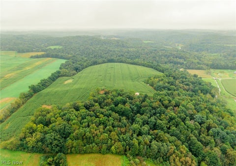 Vacant Land For Sale - White Eyes Road<br/> New Concord, OH 43762