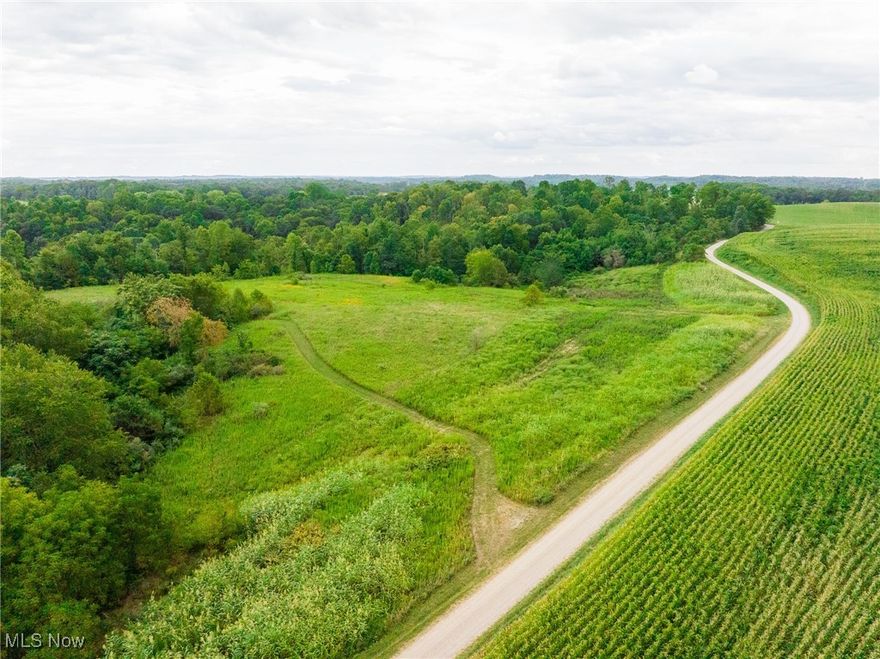 Parcel 2 approx 28.7 acres. Check out this exceptional hunting property in Guernsey County, available in two parcels—58+ acres, 28+ acres, or purchase both for a total of 87+ acres. The 58-acre parcel is turnkey for hunting season, featuring a small cabin, mowed paths, a hunting blind, a feeder, and well-maintained trails throughout. The 28-acre tract offers a gently rolling open field with mowed paths and food plot areas, surrounded by wooded edges that provide prime hunting setups. With a balanced mix of open and wooded terrain, this property is a true whitetail haven.