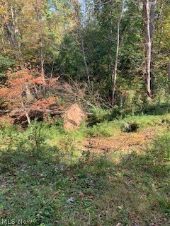 New Years Crk Allotment - Residential