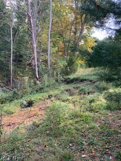 New Years Crk Allotment - Residential