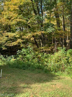 New Years Crk Allotment - Residential