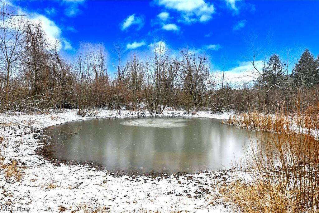 Photo of 6151 Taylor Road, Clinton, OH 44216 (MLS # 5188409)