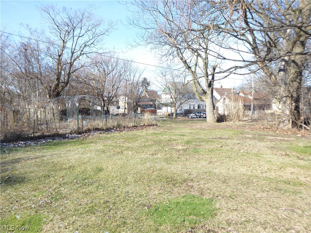 Detroit Shoreway/EcoVillage - Land
