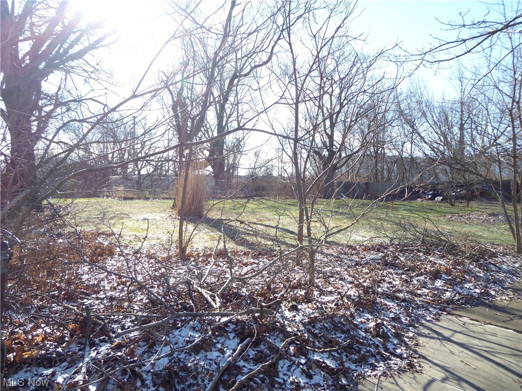 Detroit Shoreway/EcoVillage - Land