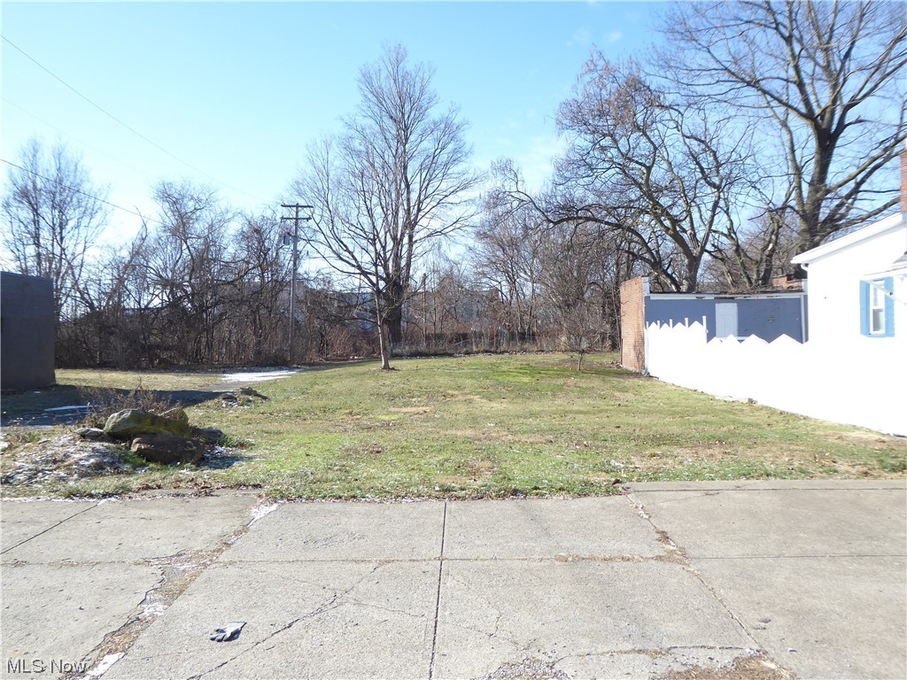 Detroit Shoreway/EcoVillage - Land