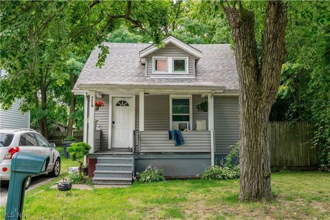 Homes For Sale - 982 Eva Avenue<br/> Akron, OH 44306