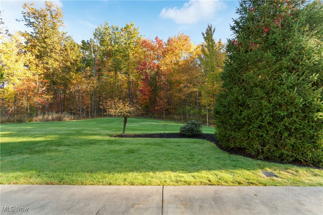 10810 Crossings Drive, Twinsburg, Ohio image 30