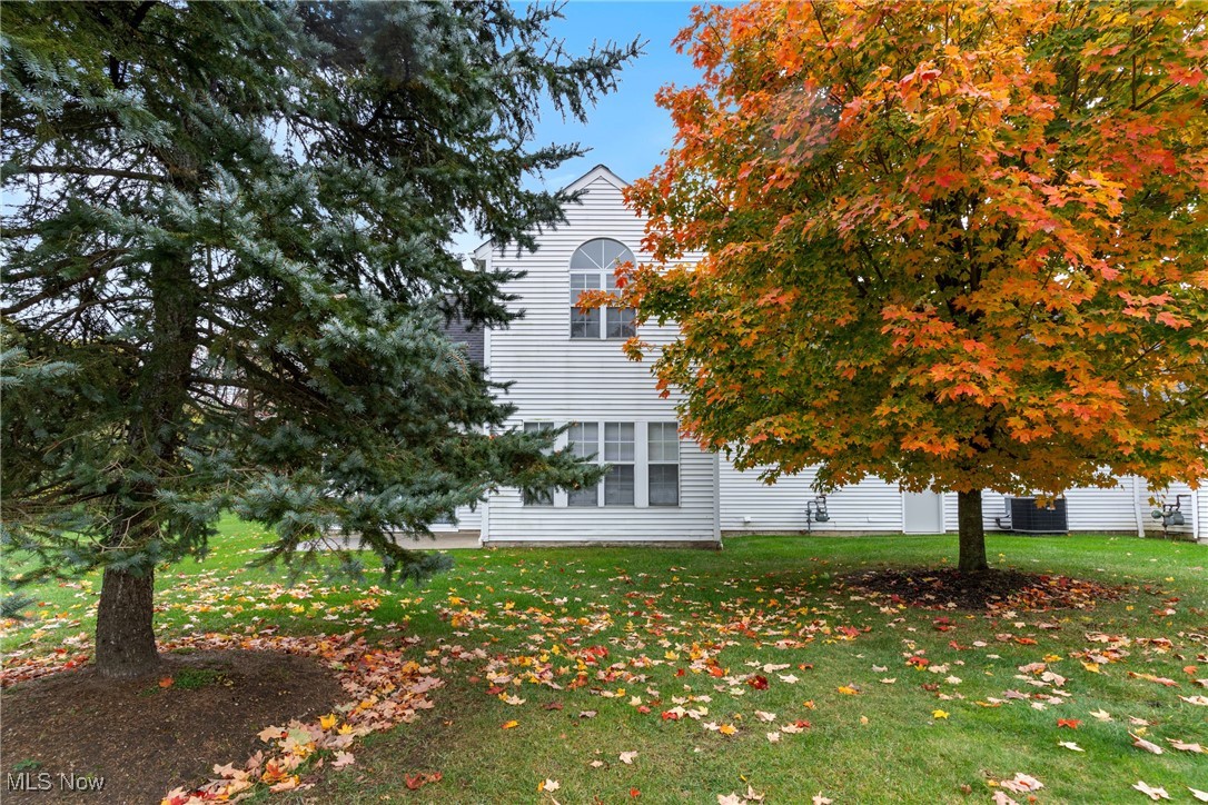 Orchard Hill Condo - Residential