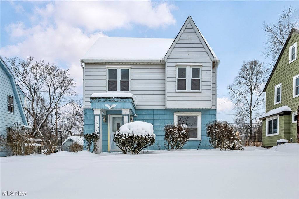 Photo of 123 Ellenwood Avenue, Bedford, OH 44146 (MLS # 5184326)