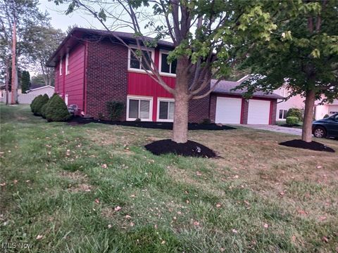 4323 Marshall Avenue Lorain OH 44053