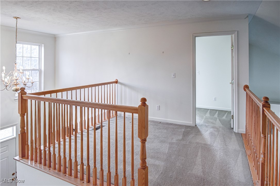 Meadows/Oakwood Ph 01 - Residential