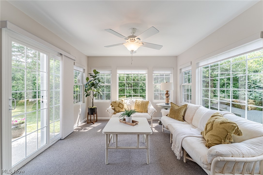 Orchard Hill Condo - Residential