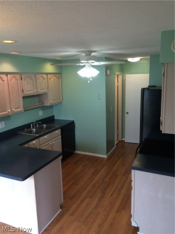 Big Turtle 02 Ph 11-16 - Residential