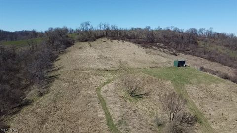 Tiny photo for 53405 Calais Road, Quaker City, OH 43773 (MLS # 5194586)