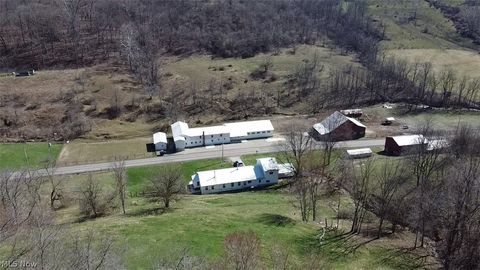 Tiny photo for 53405 Calais Road, Quaker City, OH 43773 (MLS # 5194586)