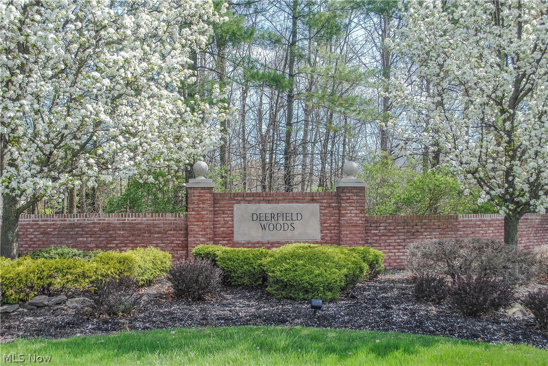 Deerfield Woods - Land