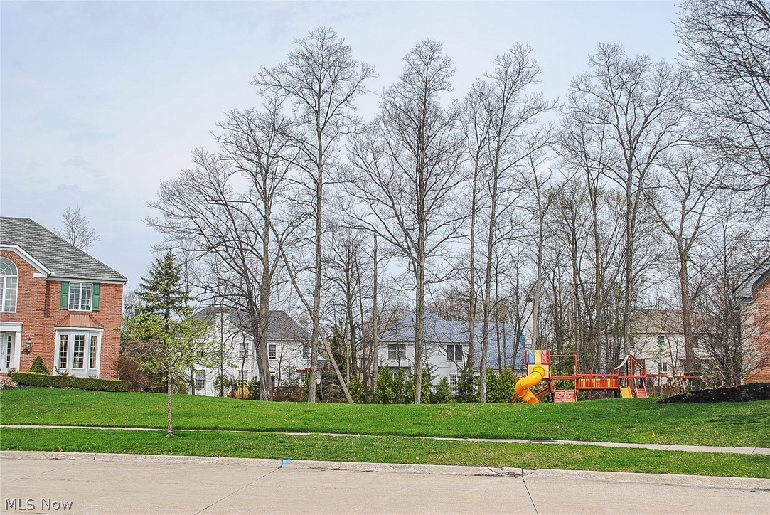 Deerfield Woods - Land