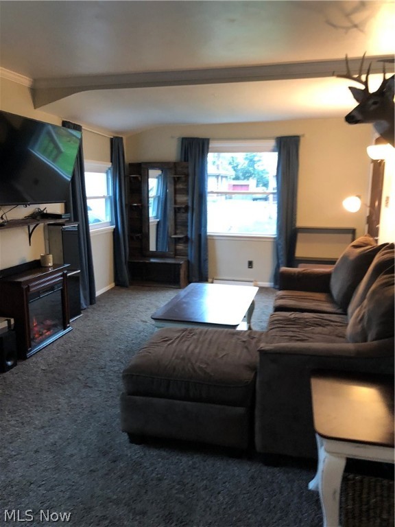 Summit Lake Allotment - Residential Lease