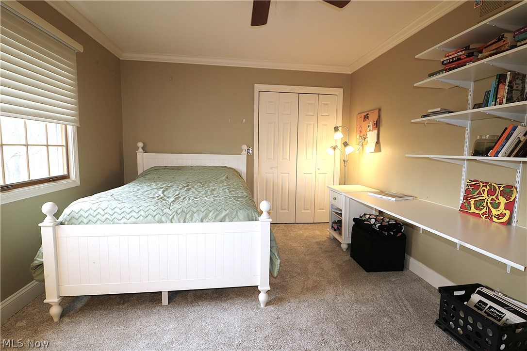 The Meadows - Residential