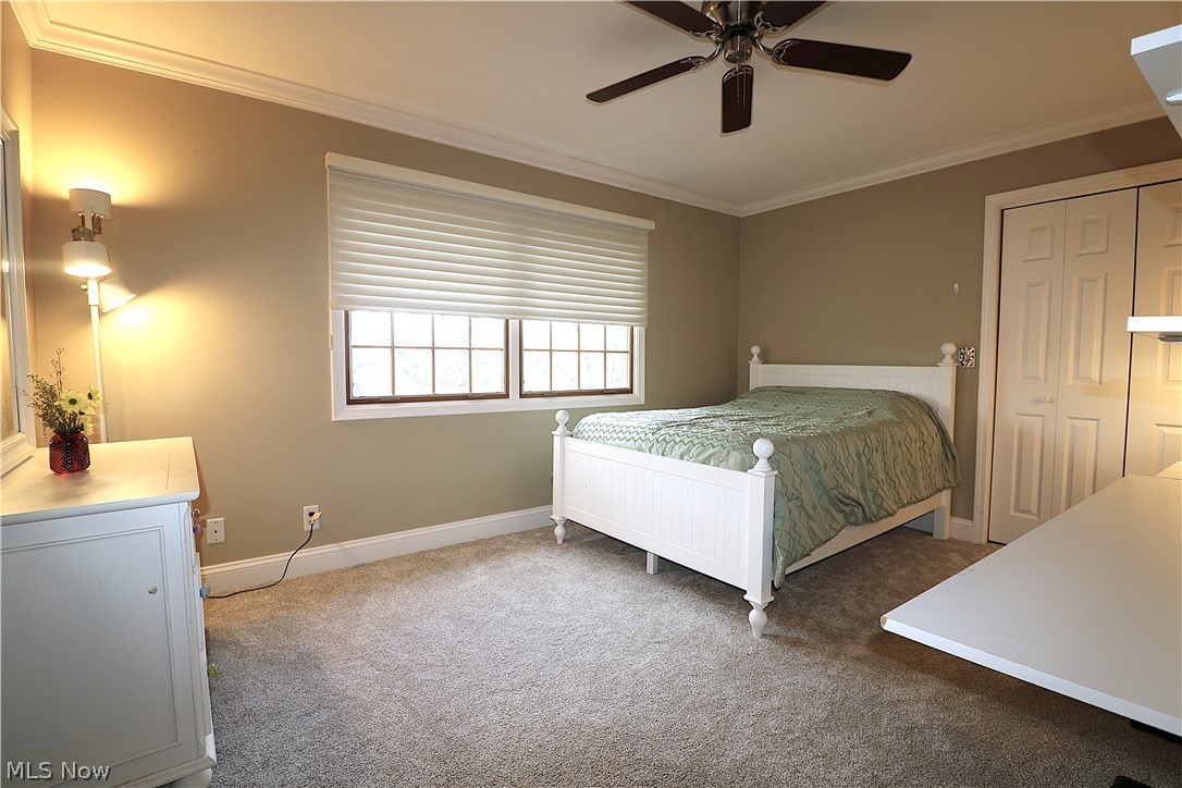 The Meadows - Residential