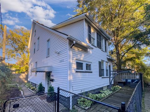4223 Bridge Avenue Cleveland OH 44113